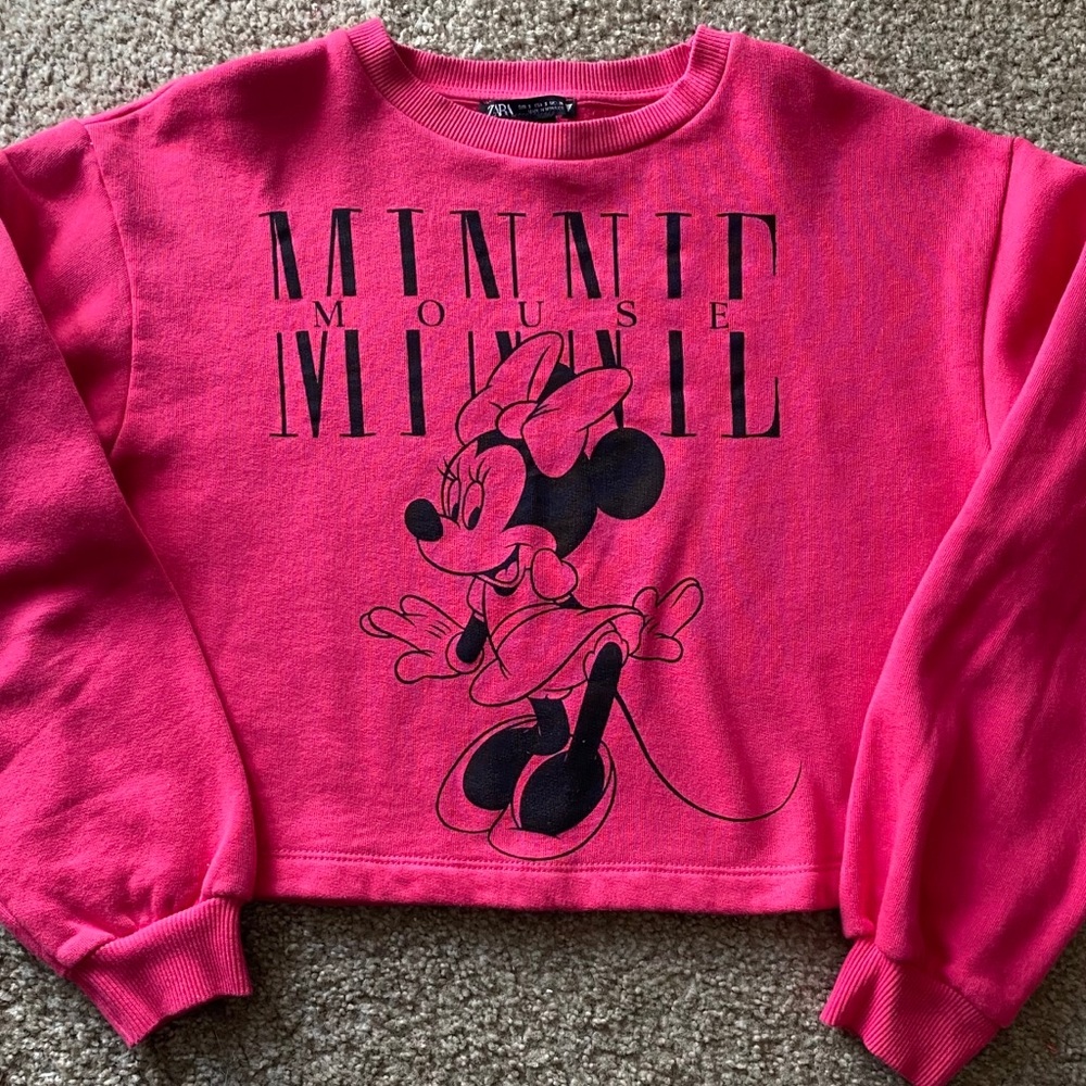 Zara crop sweatshirt